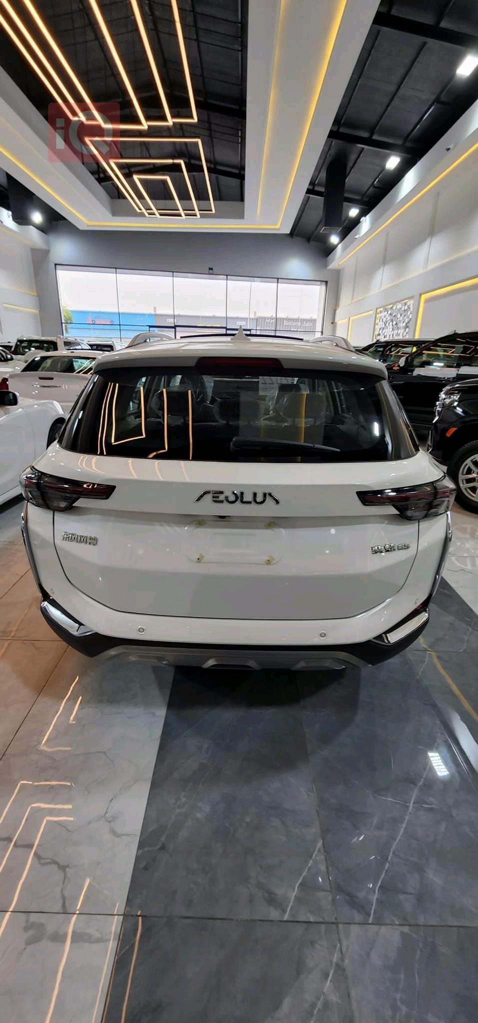 دۆنگ فینگ Aeolus Yixuan GS